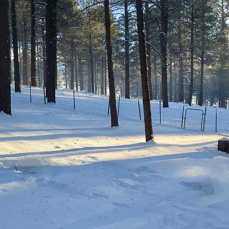 Close To Williams, Flagstaff, Grand Canyon And Sedona Zewnętrze zdjęcie