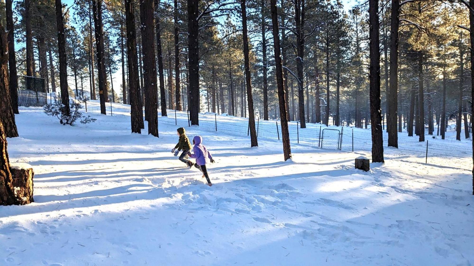 Close To Williams, Flagstaff, Grand Canyon And Sedona Zewnętrze zdjęcie