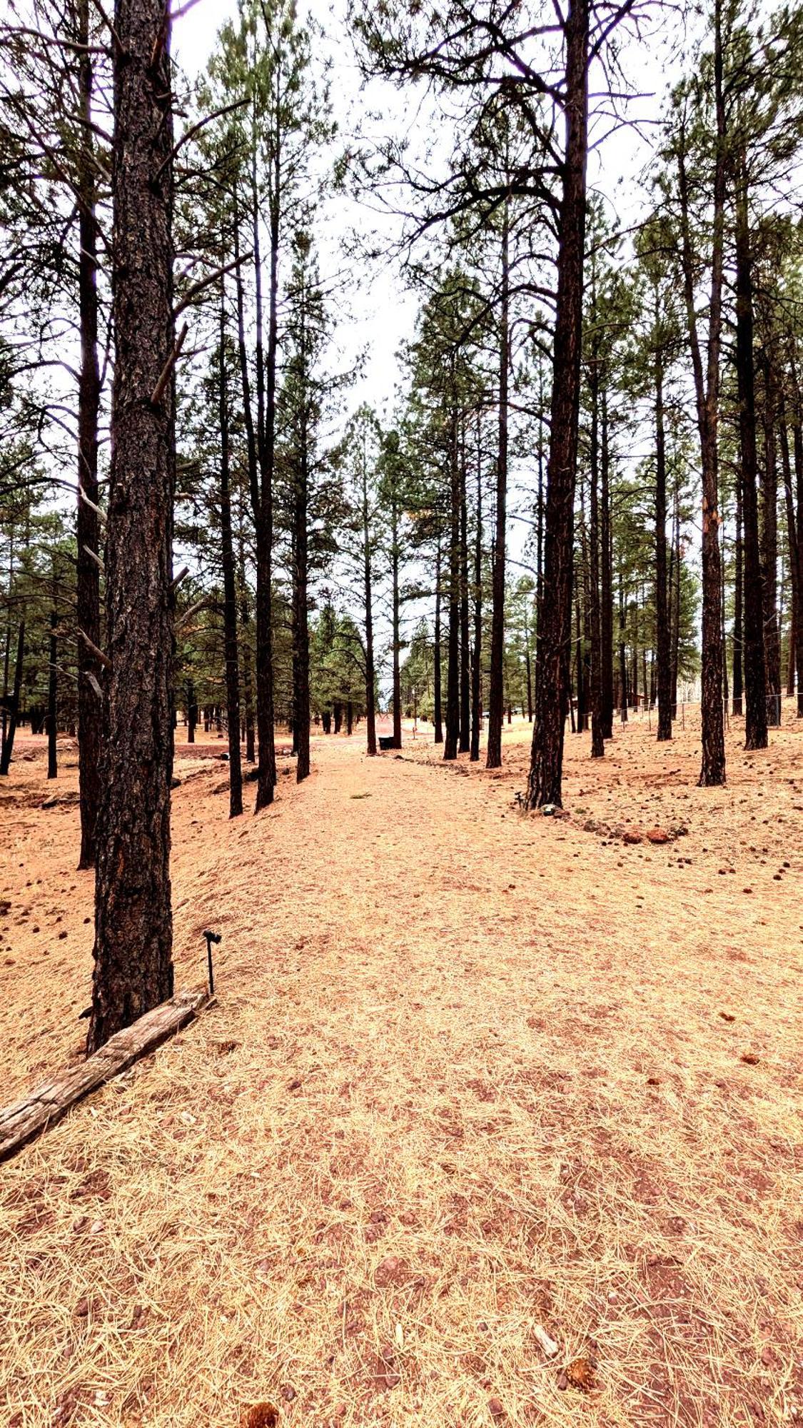 Close To Williams, Flagstaff, Grand Canyon And Sedona Zewnętrze zdjęcie