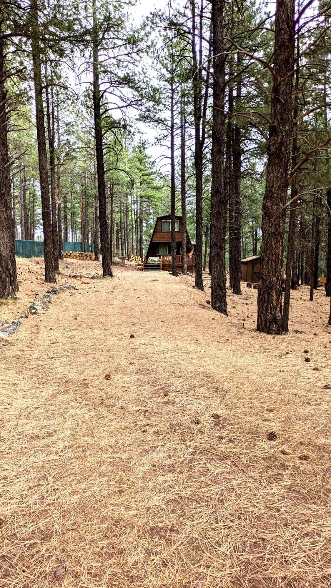 Close To Williams, Flagstaff, Grand Canyon And Sedona Zewnętrze zdjęcie